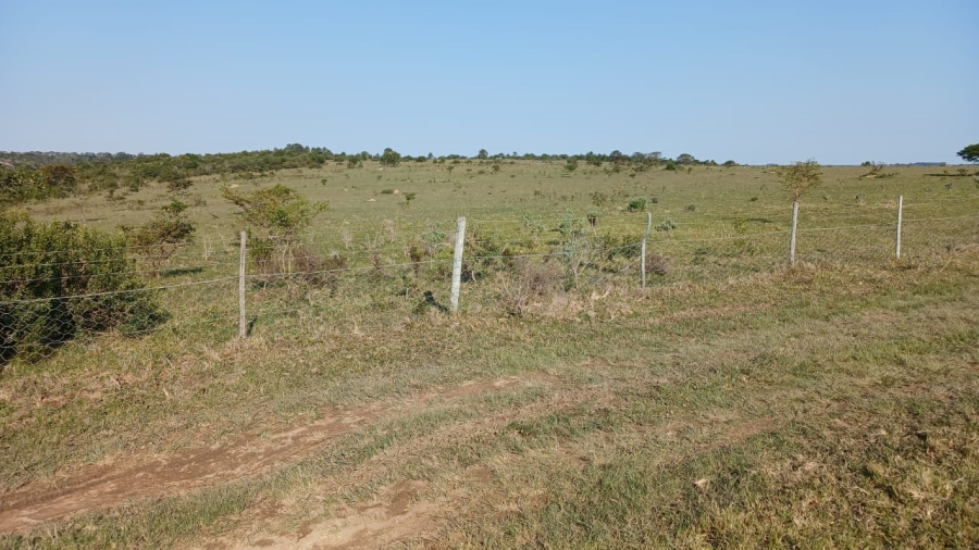 Commercial Property for Sale in Bathurst Eastern Cape